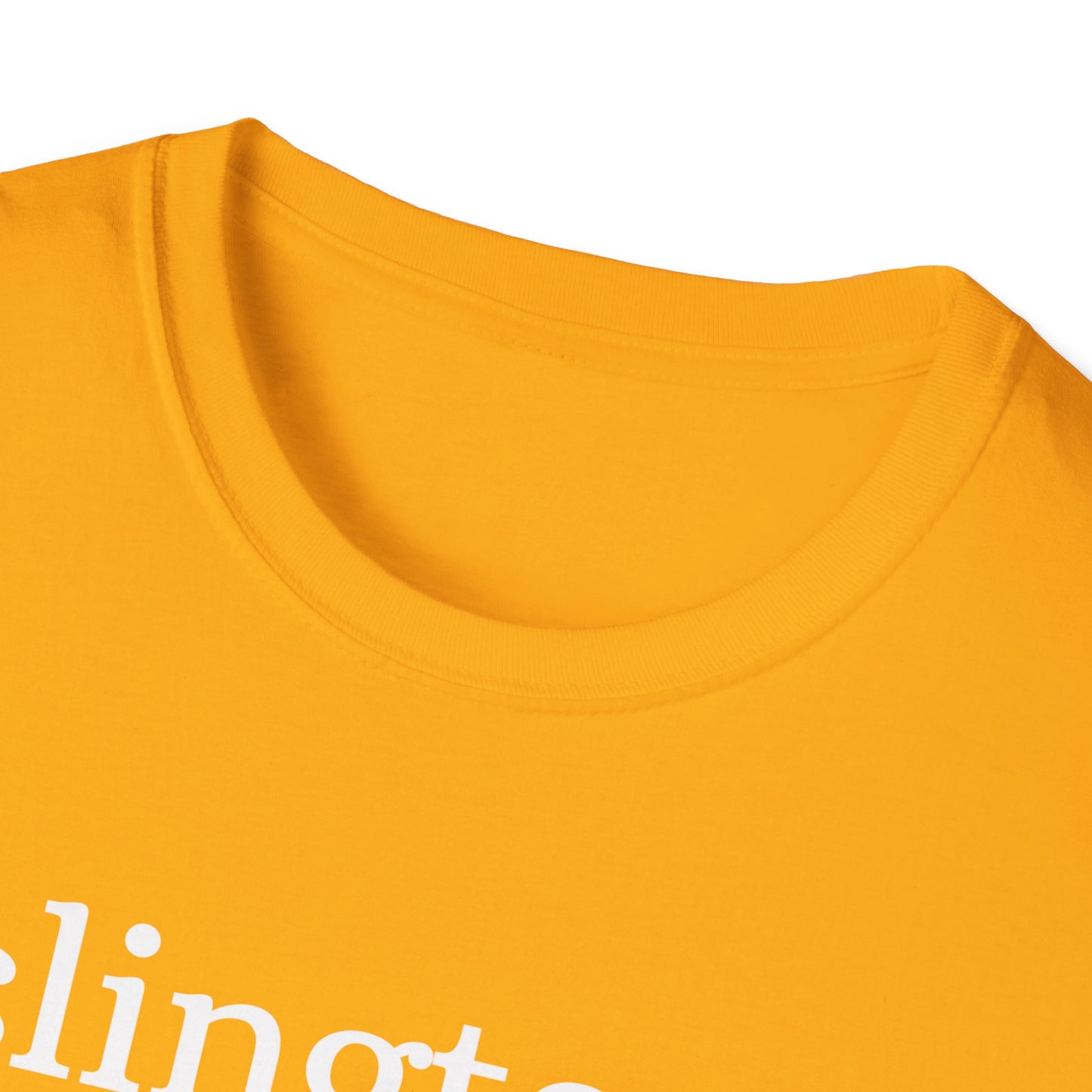 Emma M. Lion Character Names T-Shirt - Book Lovers