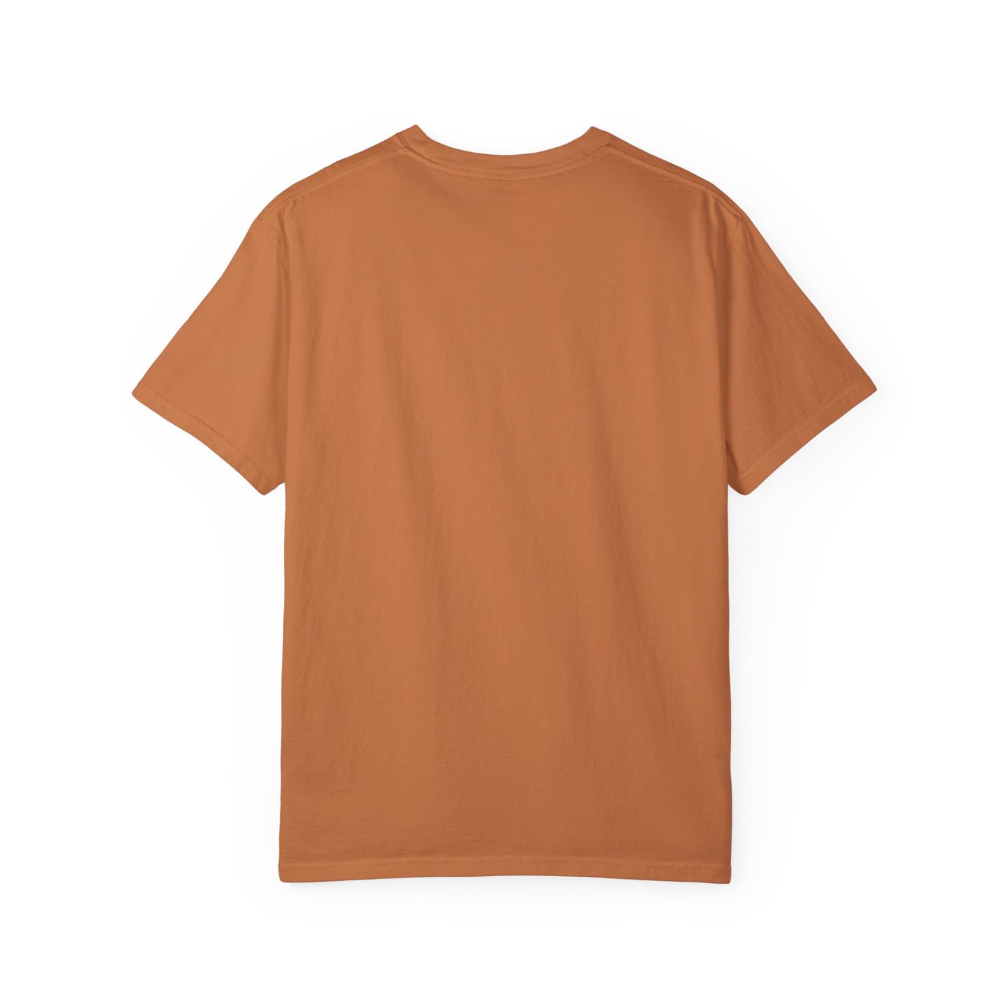 Aslan Courage Dear Heart Oversized T-shirt - Chronicles of Narnia