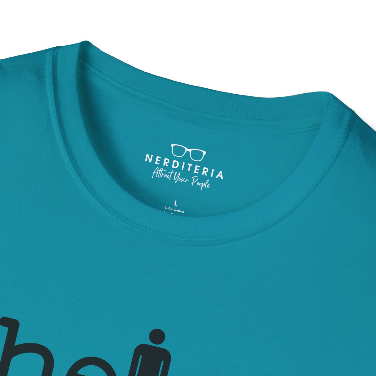 Their, There, They're Softstyle T-Shirt - Nerd Stuff