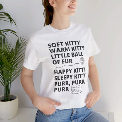 Soft Kitty Warm Kitty - Big Bang Theory T-shirt