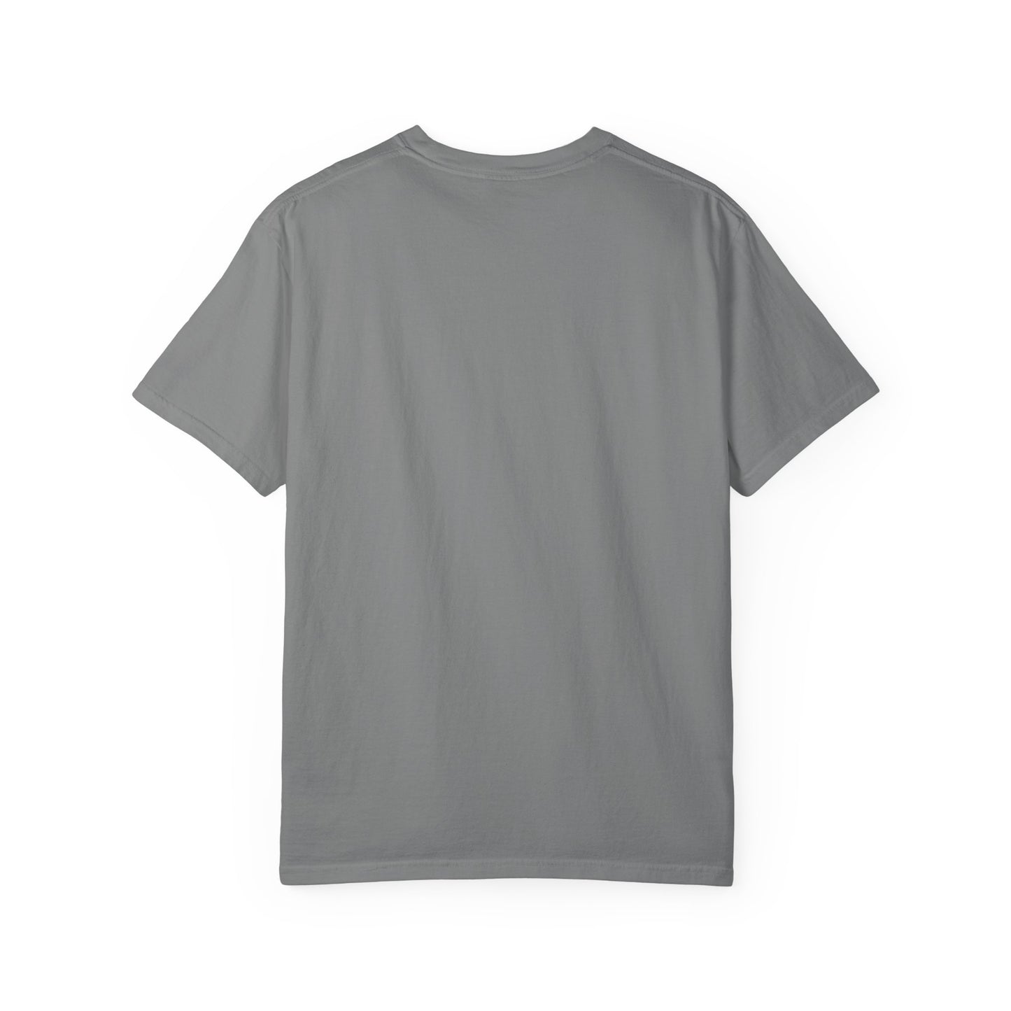 Project Hail Mary Oversized T-Shirt
