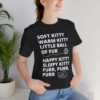 Soft Kitty Warm Kitty - Big Bang Theory T-shirt