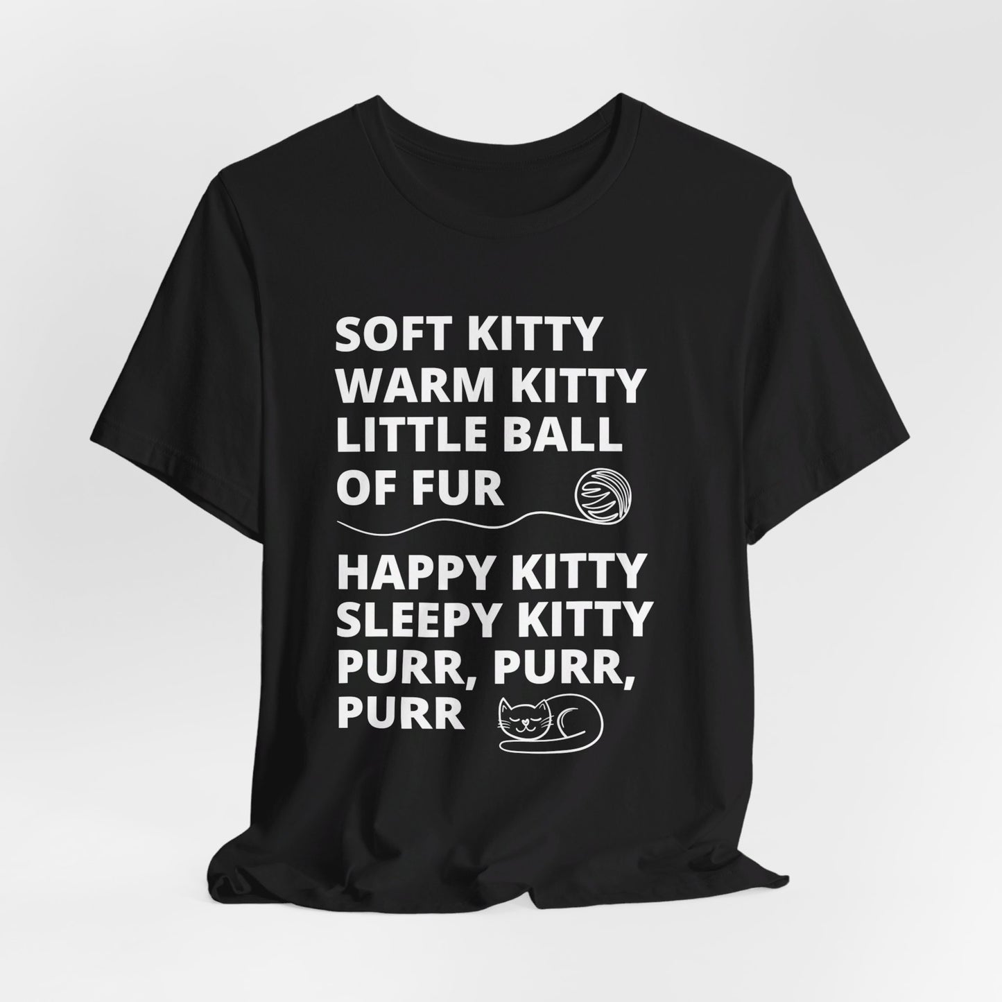 Soft Kitty Warm Kitty - Big Bang Theory T-shirt